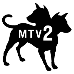 MTV Two